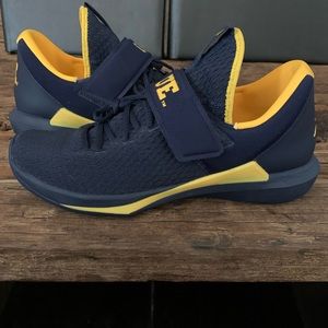 Jordan Trainer Michigan Edition Men’s 12